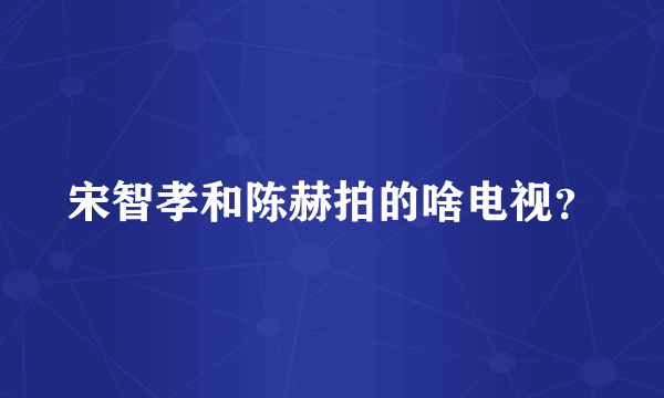 宋智孝和陈赫拍的啥电视？