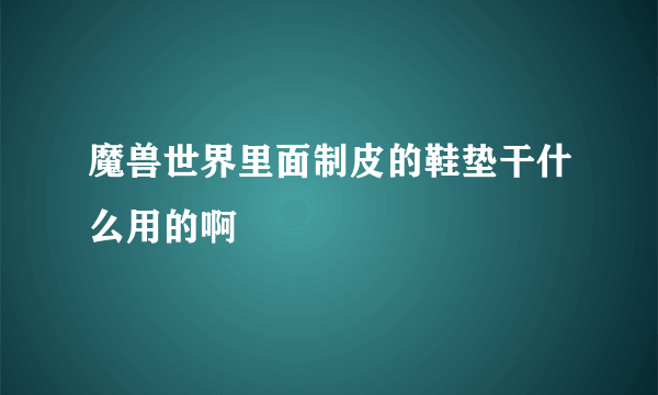 魔兽世界里面制皮的鞋垫干什么用的啊