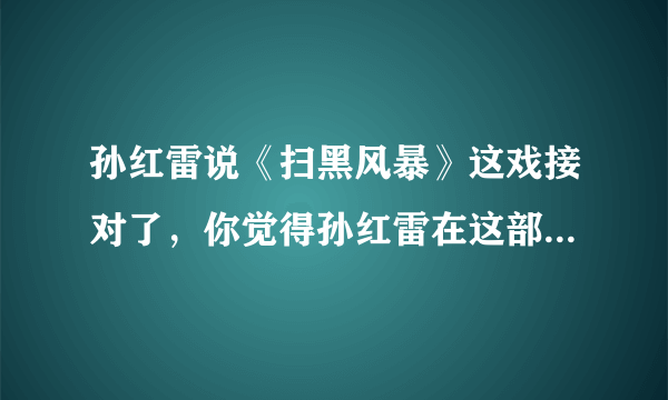 孙红雷说《扫黑风暴》这戏接对了，你觉得孙红雷在这部剧中的表现如何？