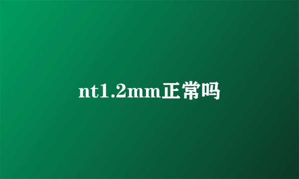 nt1.2mm正常吗