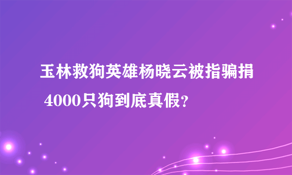 玉林救狗英雄杨晓云被指骗捐 4000只狗到底真假？