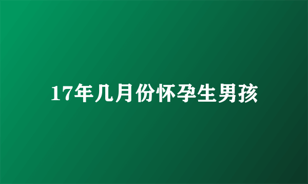 17年几月份怀孕生男孩