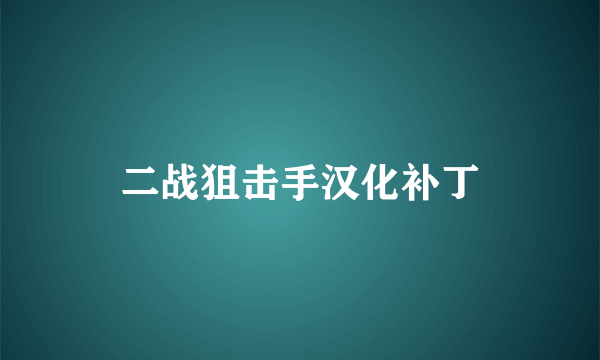 二战狙击手汉化补丁