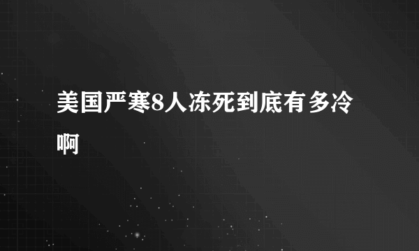 美国严寒8人冻死到底有多冷啊