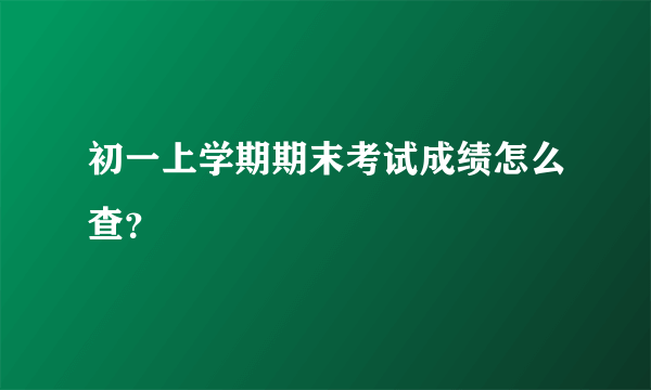 初一上学期期末考试成绩怎么查？