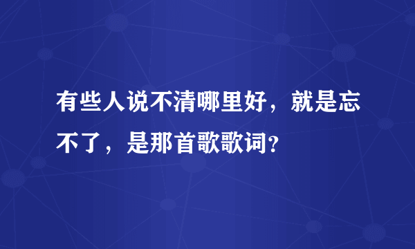 有些人说不清哪里好，就是忘不了，是那首歌歌词？