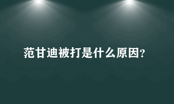 范甘迪被打是什么原因？