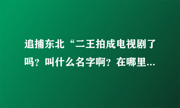 追捕东北“二王拍成电视剧了吗？叫什么名字啊？在哪里可以看到啊