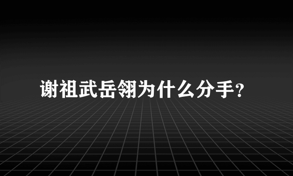 谢祖武岳翎为什么分手？