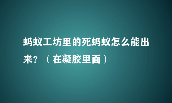 蚂蚁工坊里的死蚂蚁怎么能出来？（在凝胶里面）