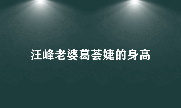 汪峰老婆葛荟婕的身高