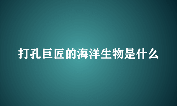 打孔巨匠的海洋生物是什么