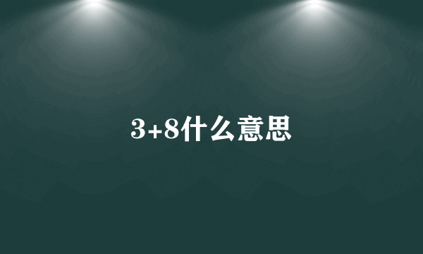 3+8什么意思