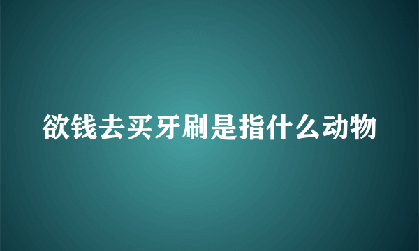 欲钱去买牙刷是指什么动物