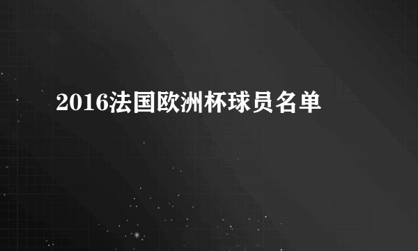 2016法国欧洲杯球员名单