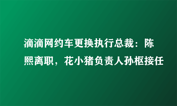 滴滴网约车更换执行总裁：陈熙离职，花小猪负责人孙枢接任