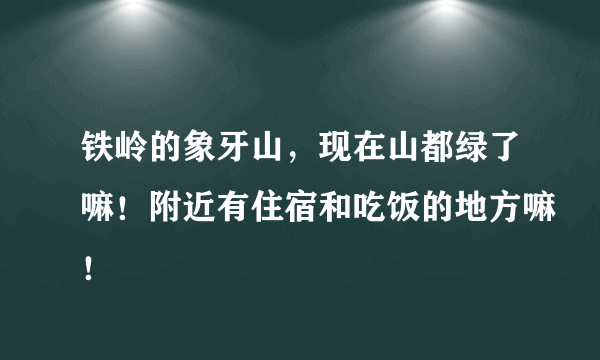 铁岭的象牙山，现在山都绿了嘛！附近有住宿和吃饭的地方嘛！