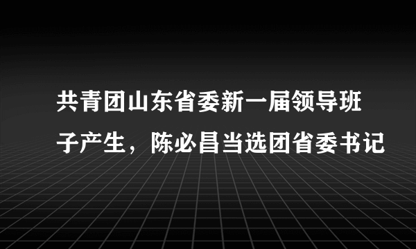 共青团山东省委新一届领导班子产生，陈必昌当选团省委书记