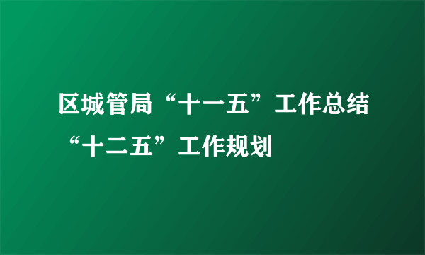 区城管局“十一五”工作总结“十二五”工作规划