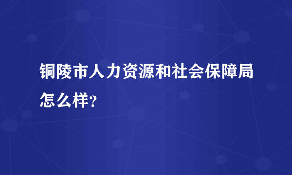 铜陵市人力资源和社会保障局怎么样？