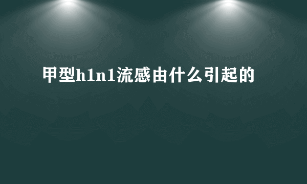 甲型h1n1流感由什么引起的