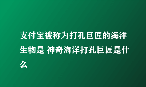 支付宝被称为打孔巨匠的海洋生物是 神奇海洋打孔巨匠是什么