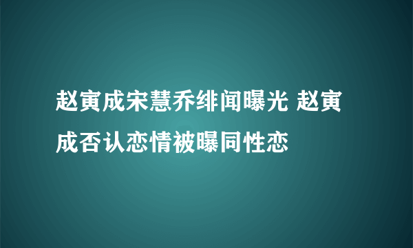 赵寅成宋慧乔绯闻曝光 赵寅成否认恋情被曝同性恋