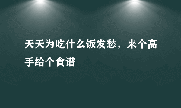 天天为吃什么饭发愁，来个高手给个食谱