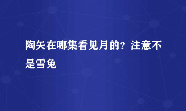 陶矢在哪集看见月的？注意不是雪兔