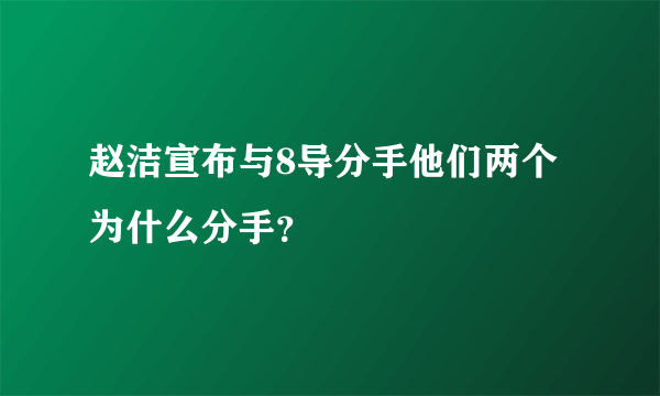 赵洁宣布与8导分手他们两个为什么分手？