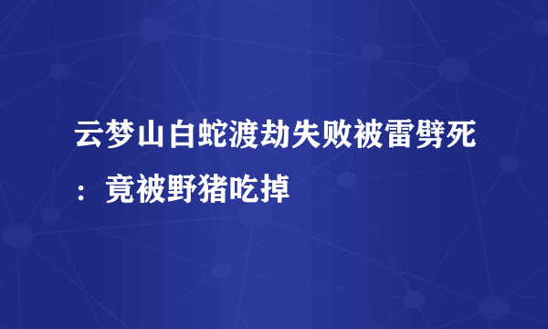 云梦山白蛇渡劫失败被雷劈死：竟被野猪吃掉