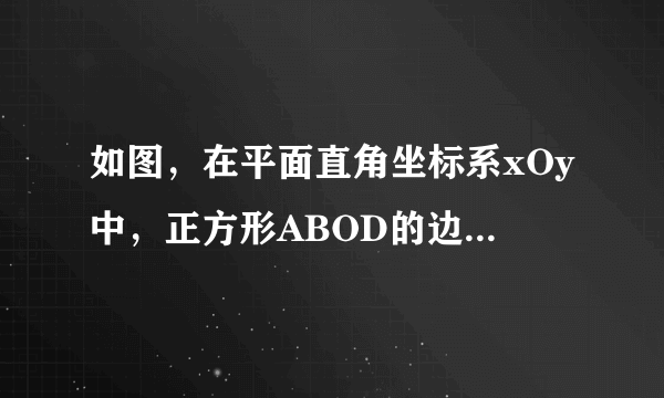 如图，在平面直角坐标系xOy中，正方形ABOD的边OD，BO在坐标轴上，正方形边长为4，直线y=2x+2与y轴交于点E，与x轴交于点F．       （1）求直线AE的函数关系式和点F的坐标；  （2）在直线AD上是否存在点P使得△AFP为等腰三角形？若存在，直接写出P点的坐标；若不存在，请说明理由．