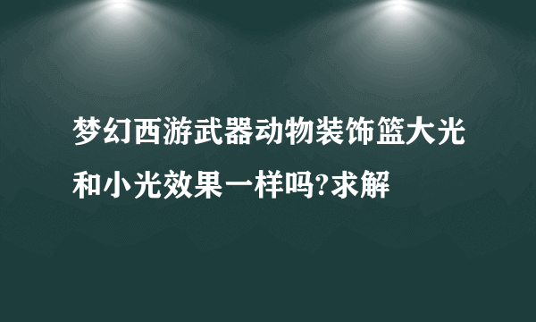 梦幻西游武器动物装饰篮大光和小光效果一样吗?求解