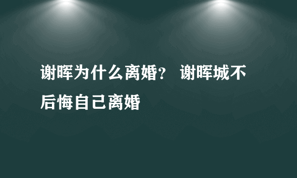 谢晖为什么离婚？ 谢晖城不后悔自己离婚