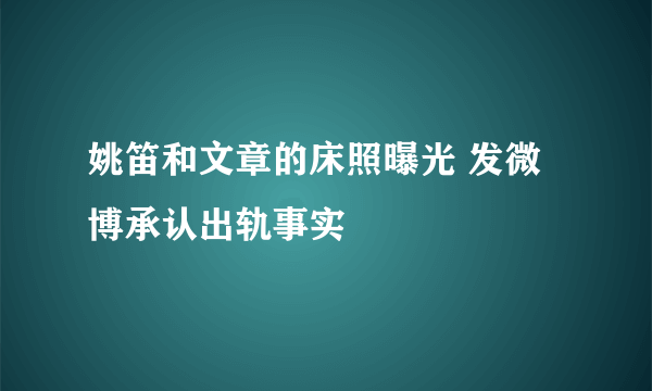 姚笛和文章的床照曝光 发微博承认出轨事实