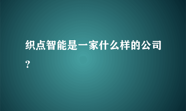 织点智能是一家什么样的公司？