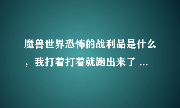 魔兽世界恐怖的战利品是什么，我打着打着就跑出来了 有什么用呢