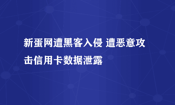 新蛋网遭黑客入侵 遭恶意攻击信用卡数据泄露