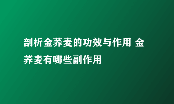 剖析金荞麦的功效与作用 金荞麦有哪些副作用