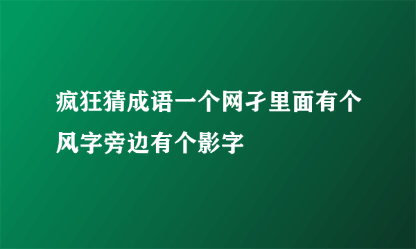 疯狂猜成语一个网孑里面有个风字旁边有个影字