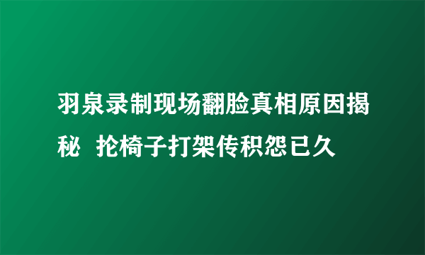 羽泉录制现场翻脸真相原因揭秘  抡椅子打架传积怨已久