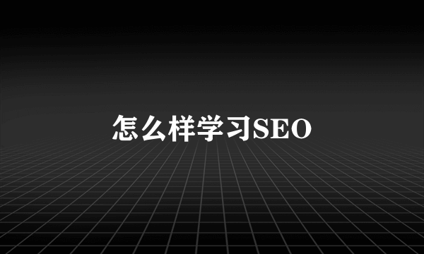 怎么样学习SEO