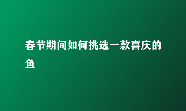 春节期间如何挑选一款喜庆的鱼