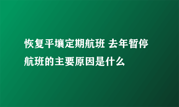 恢复平壤定期航班 去年暂停航班的主要原因是什么