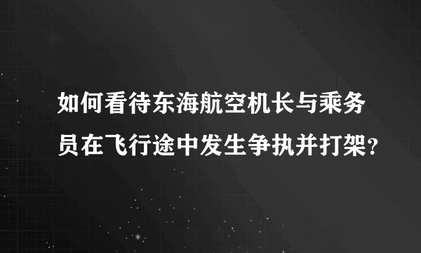 如何看待东海航空机长与乘务员在飞行途中发生争执并打架？