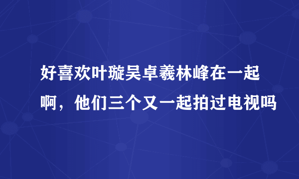 好喜欢叶璇吴卓羲林峰在一起啊，他们三个又一起拍过电视吗