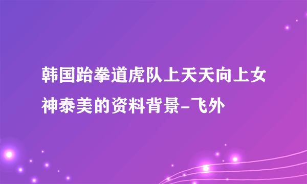 韩国跆拳道虎队上天天向上女神泰美的资料背景-飞外