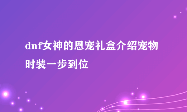 dnf女神的恩宠礼盒介绍宠物时装一步到位