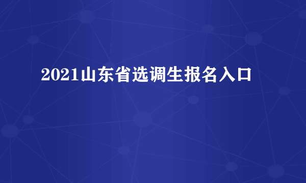 2021山东省选调生报名入口