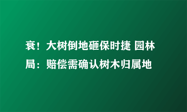 衰！大树倒地砸保时捷 园林局：赔偿需确认树木归属地